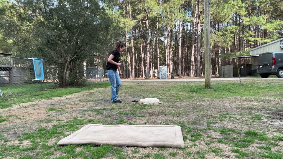 Learning to listen outside